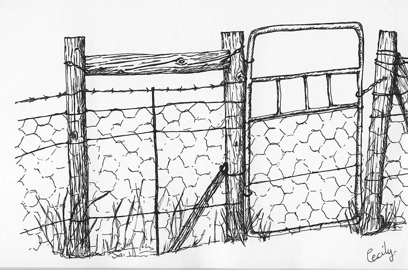 Забор карандаши. Для срисовки