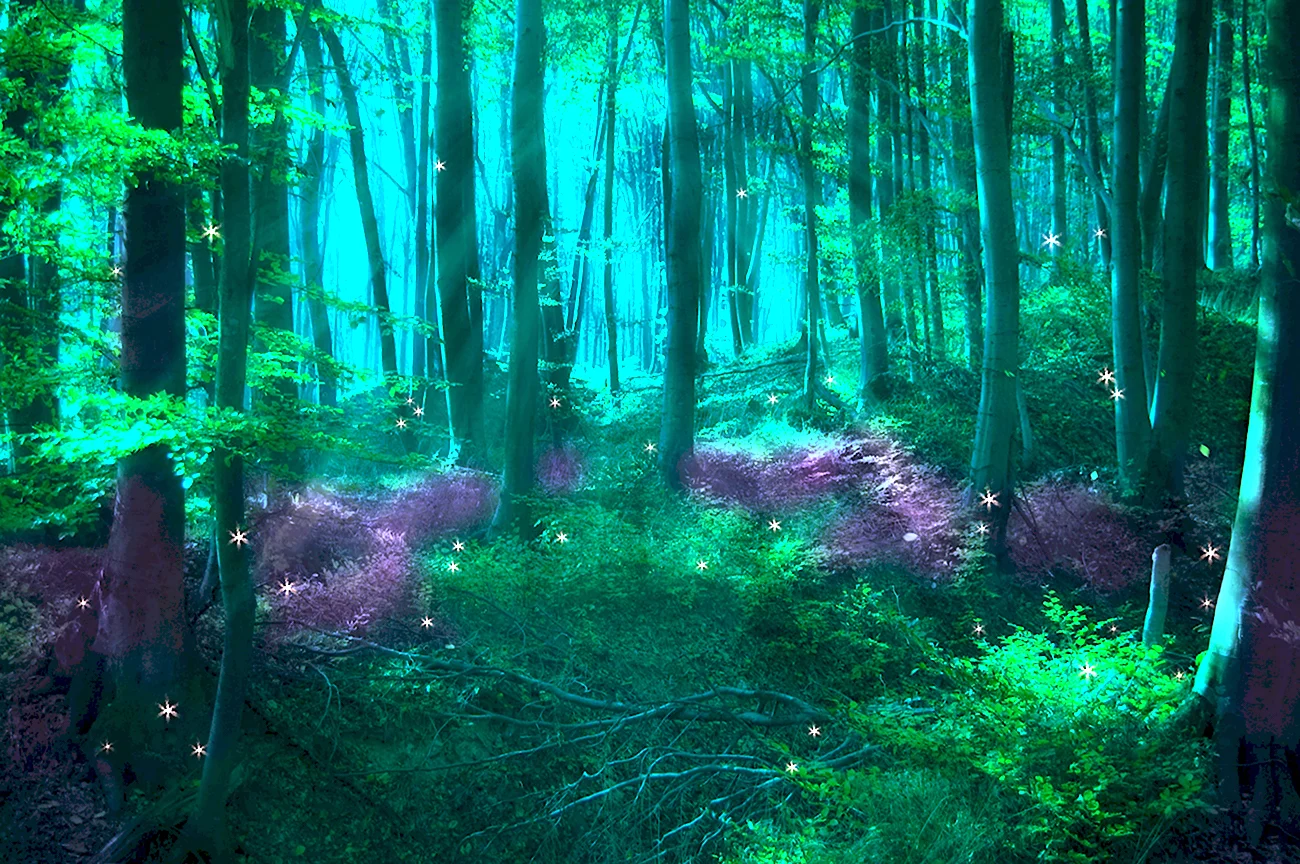 «Зачарованный лес» «Enchanted Forest». Картинка