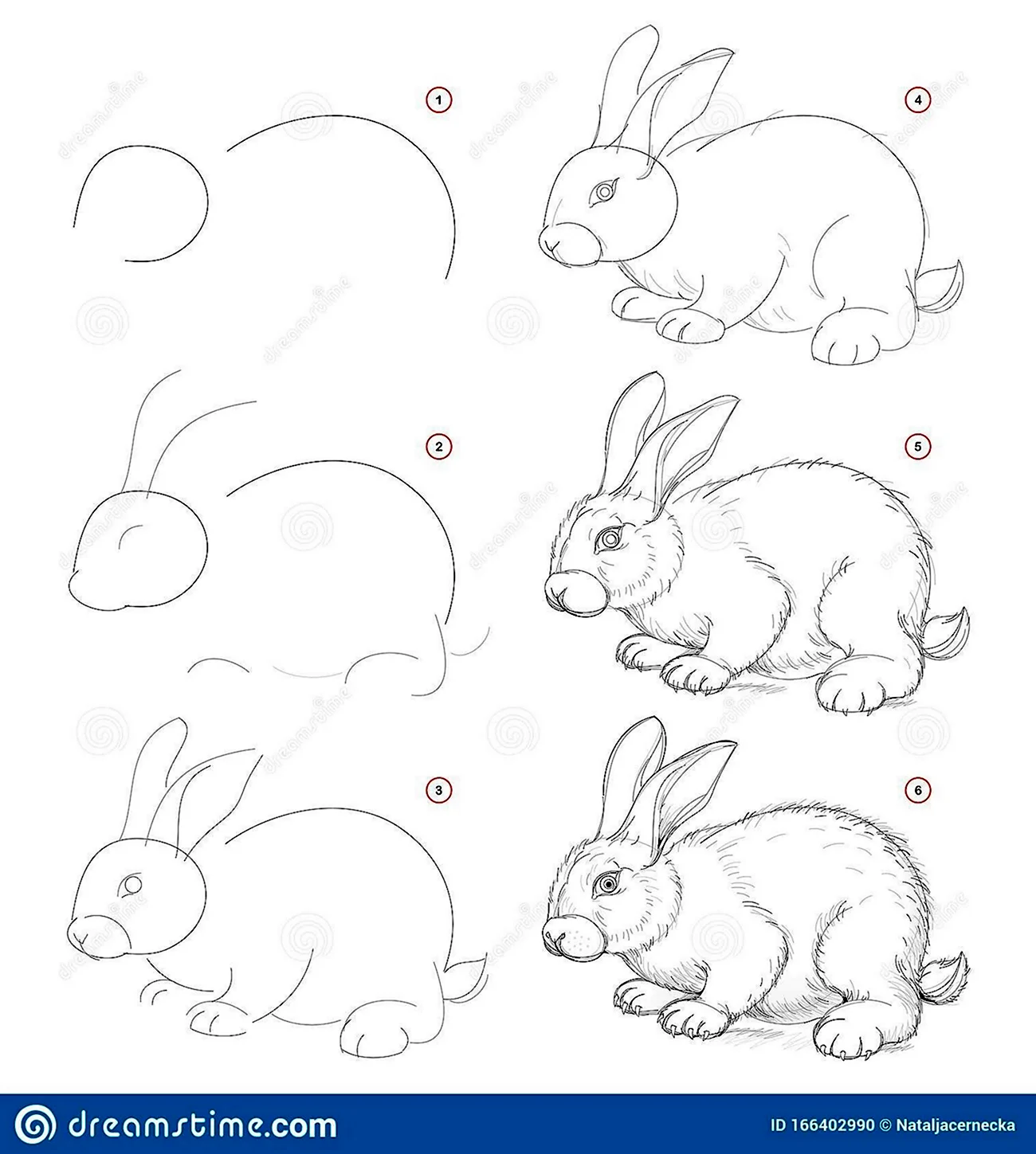 Заяц рисунок карандашом для детей. Для срисовки