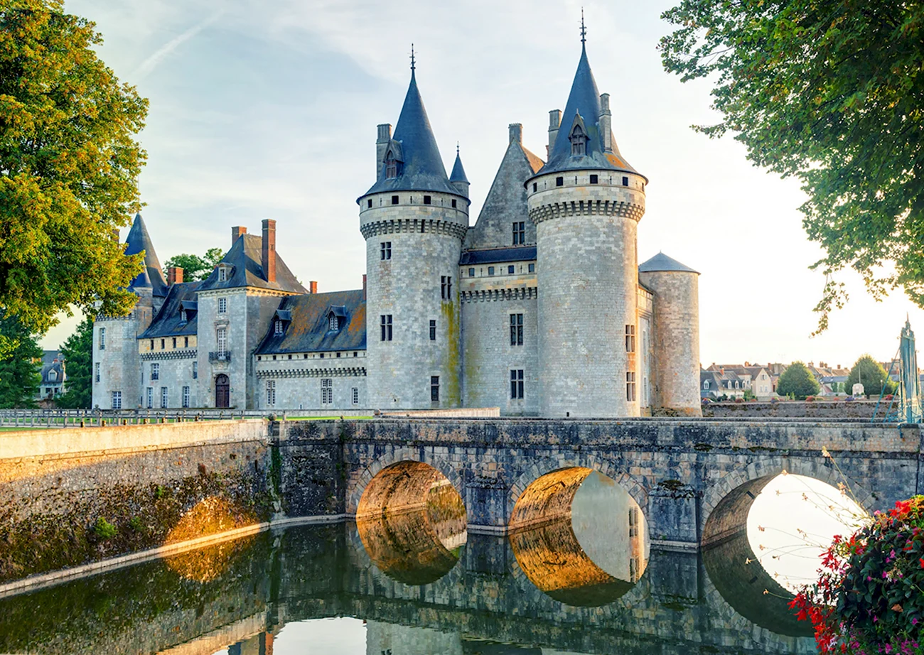Замок Сюлли-сюр-Луар. Картинка
