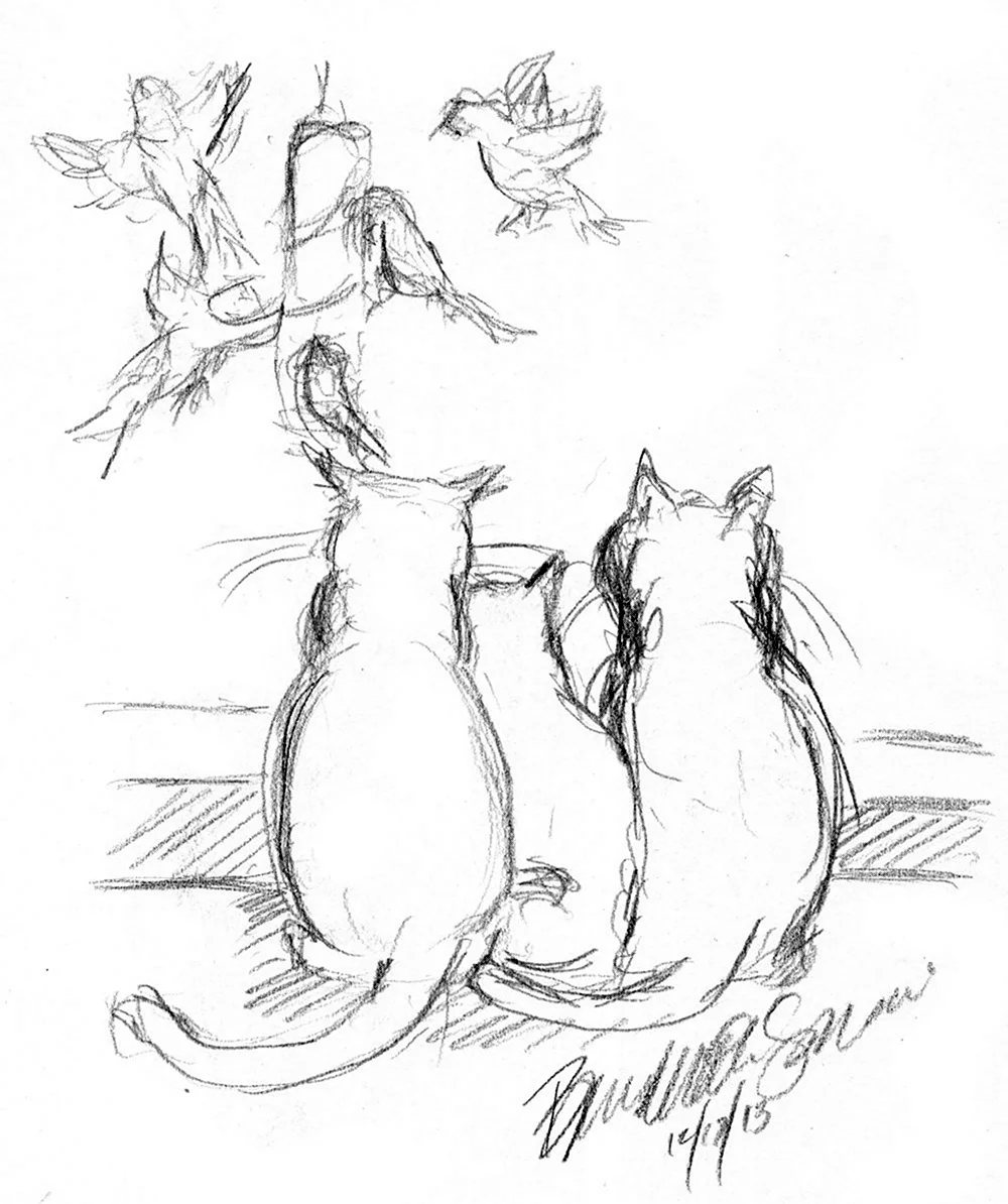 Зарисовки кошек карандашом. Красивые картинки животных
