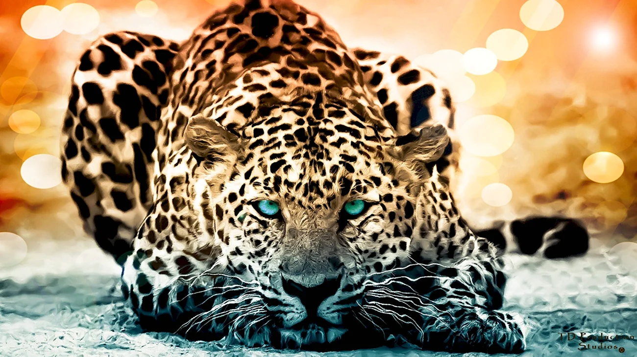Зеленоглазый леопард. Красивая картинка