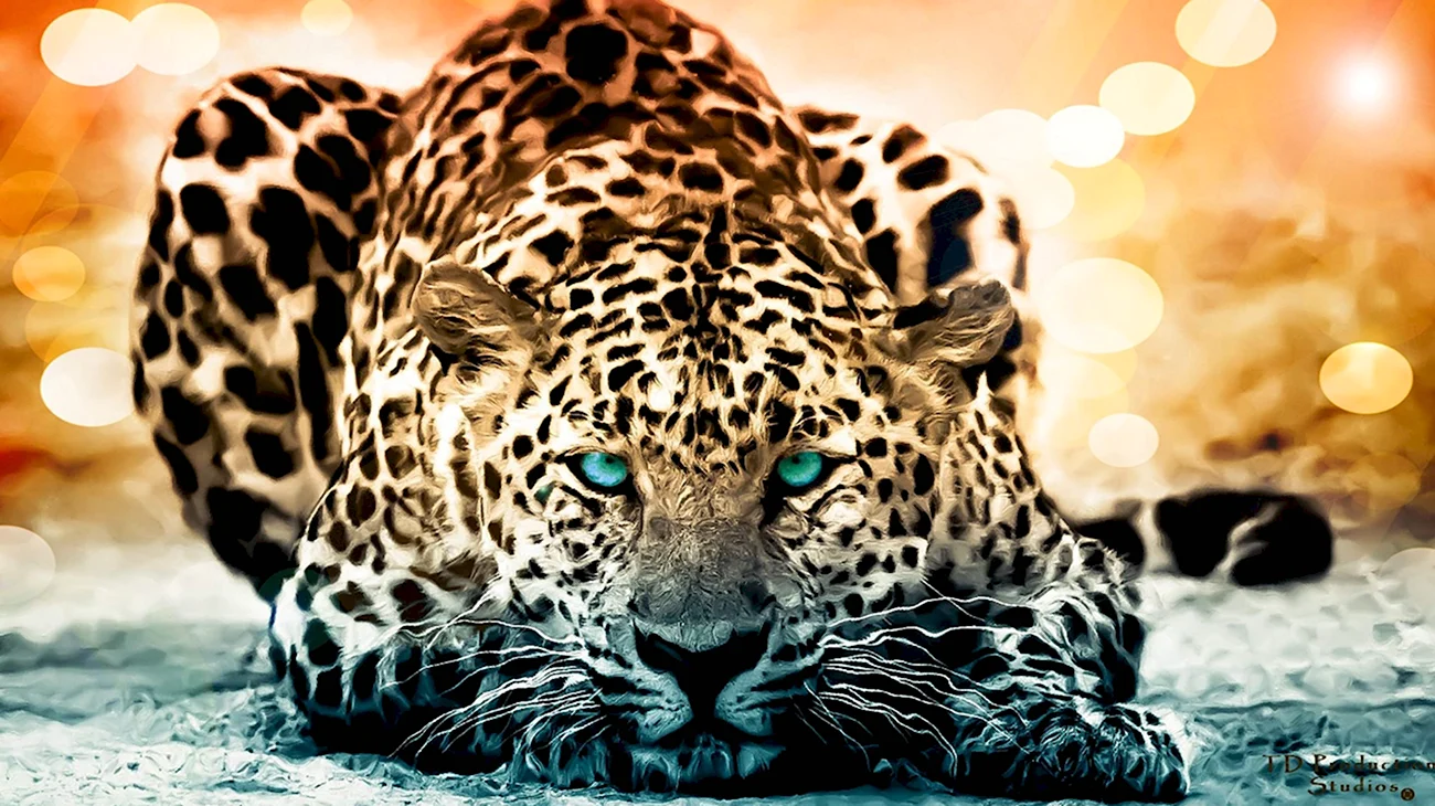 Зеленоглазый леопард. Картинка