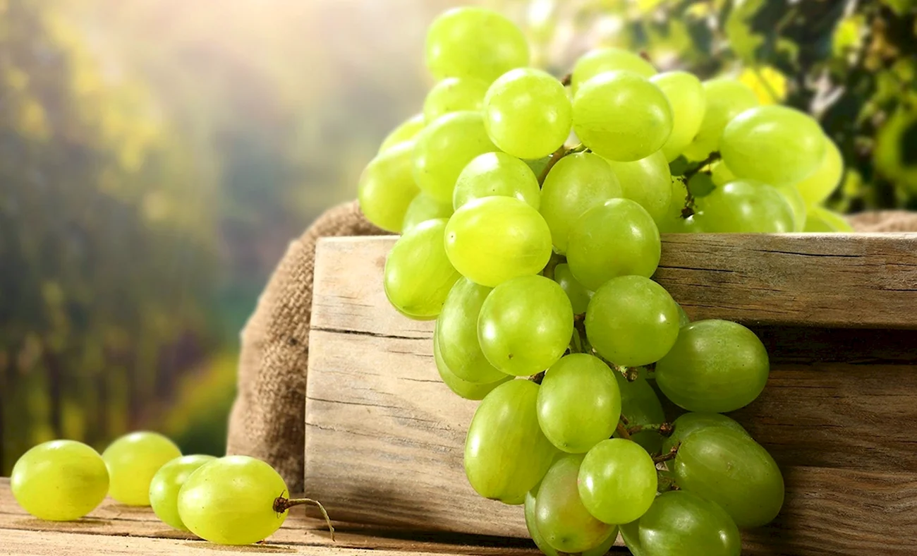 Зеленый белый виноград гроздь. Картинка