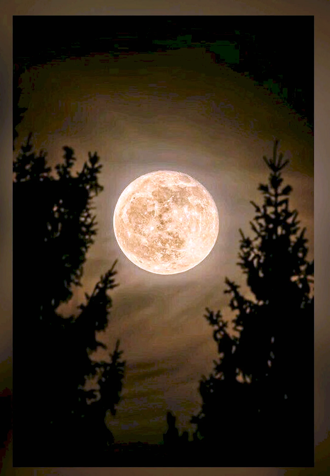 Желтая Луна. Красивая картинка