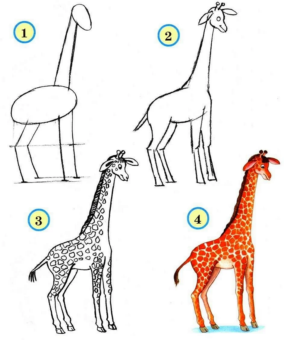 Жираф вид сбоку. Для срисовки