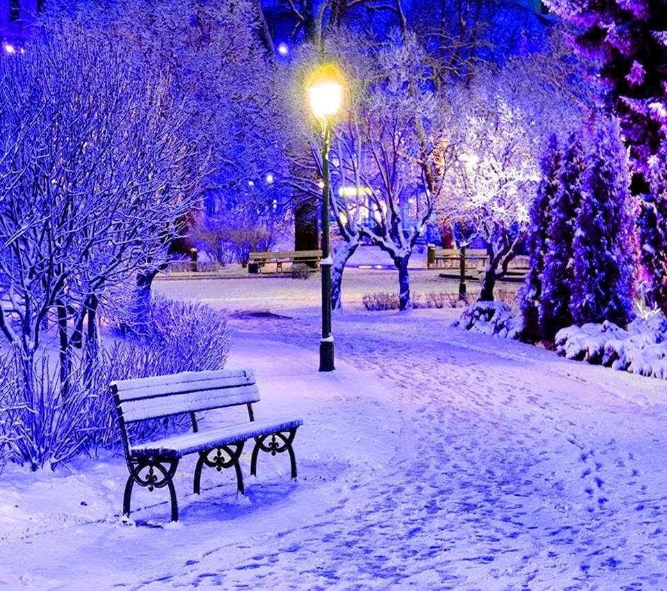 Зима парк фиолетовый. Красивая картинка