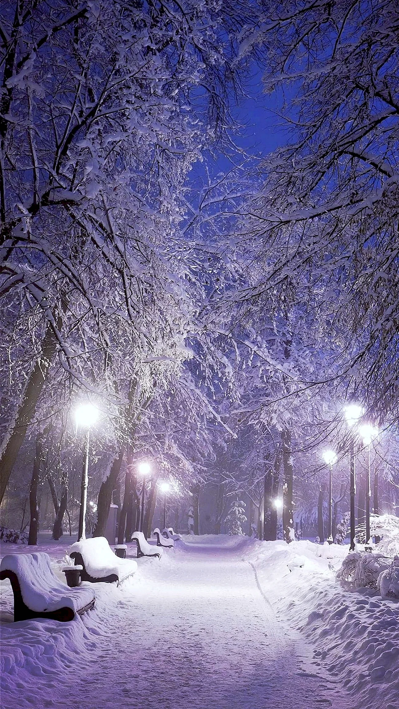 Зима снег. Красивая картинка