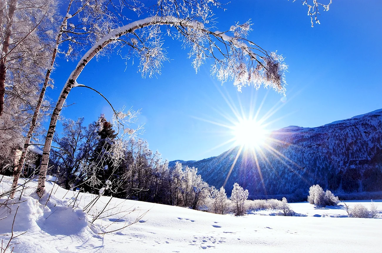 Зима солнце. Красивая картинка