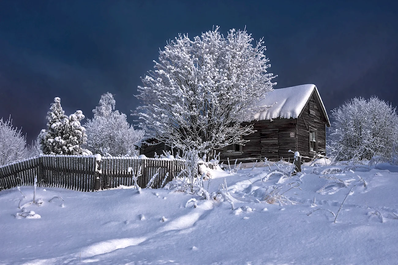 Зима в деревне. Красивая картинка