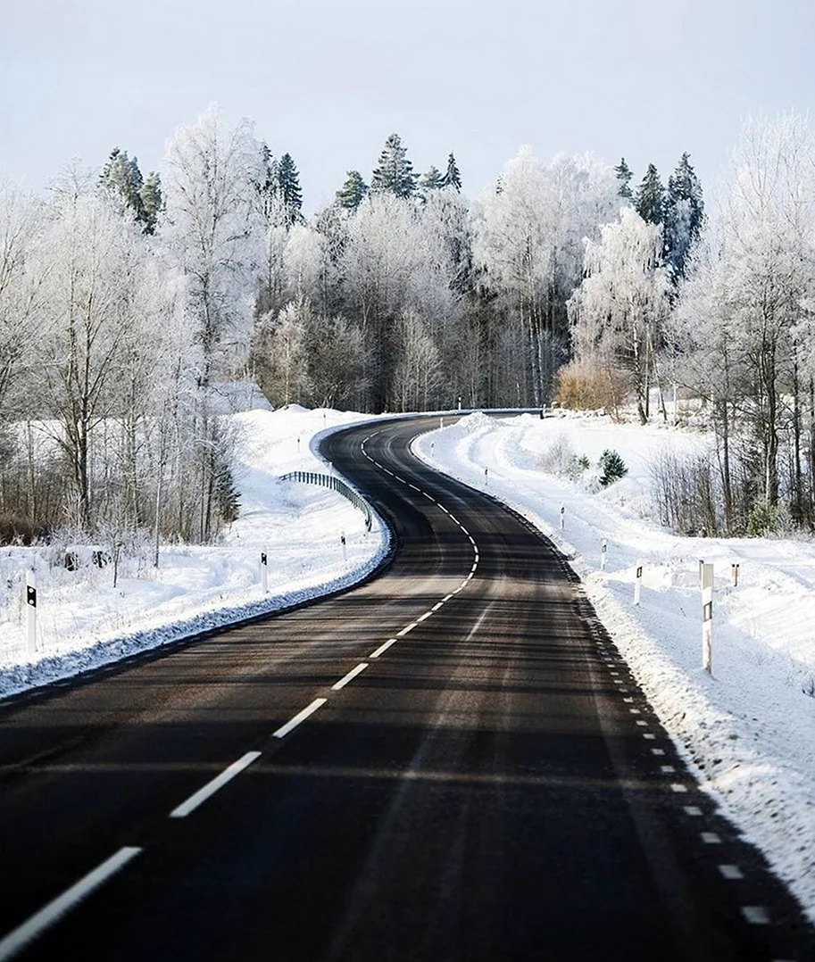 Зимняя дорога. Картинка