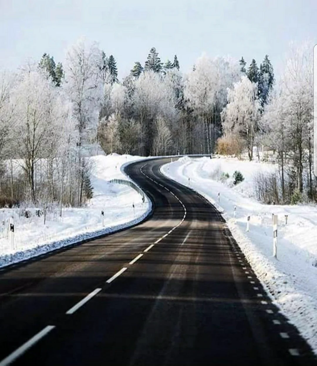 Зимняя дорога. Картинка