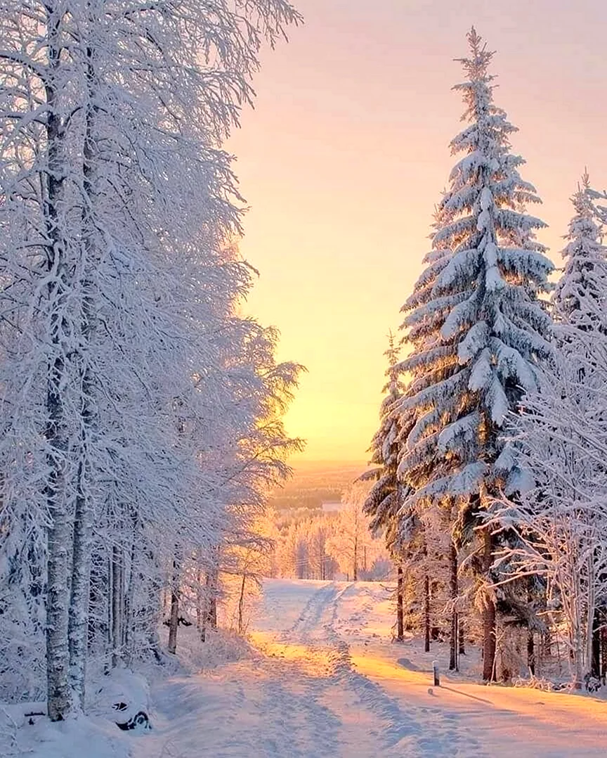 Зимняя природа. Красивая картинка