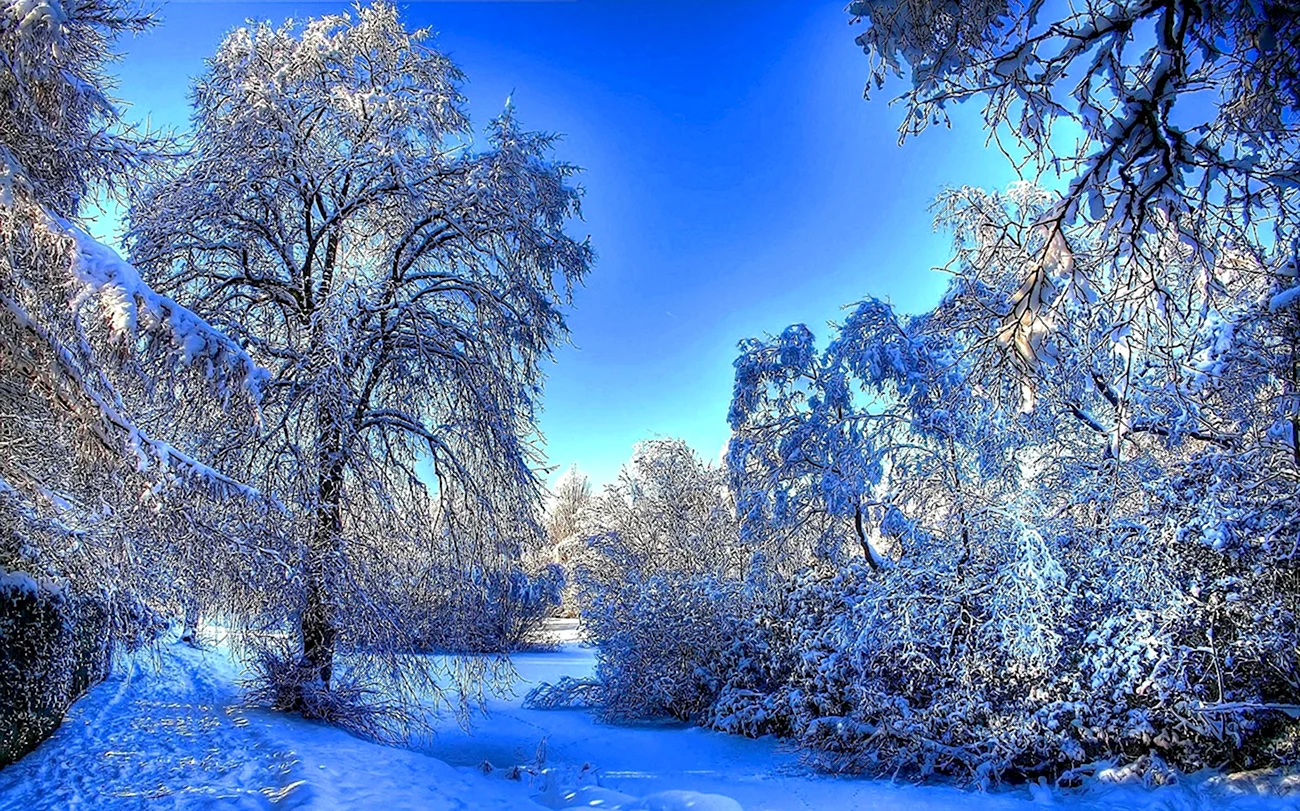 Зимняя природа. Красивая картинка