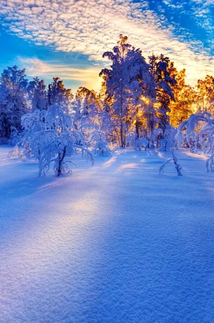 Зимний пейзаж. Красивая картинка