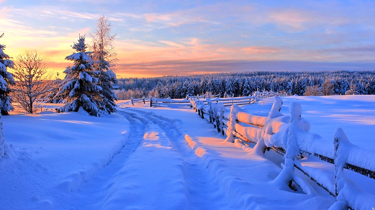 Зимний пейзаж. Красивая картинка