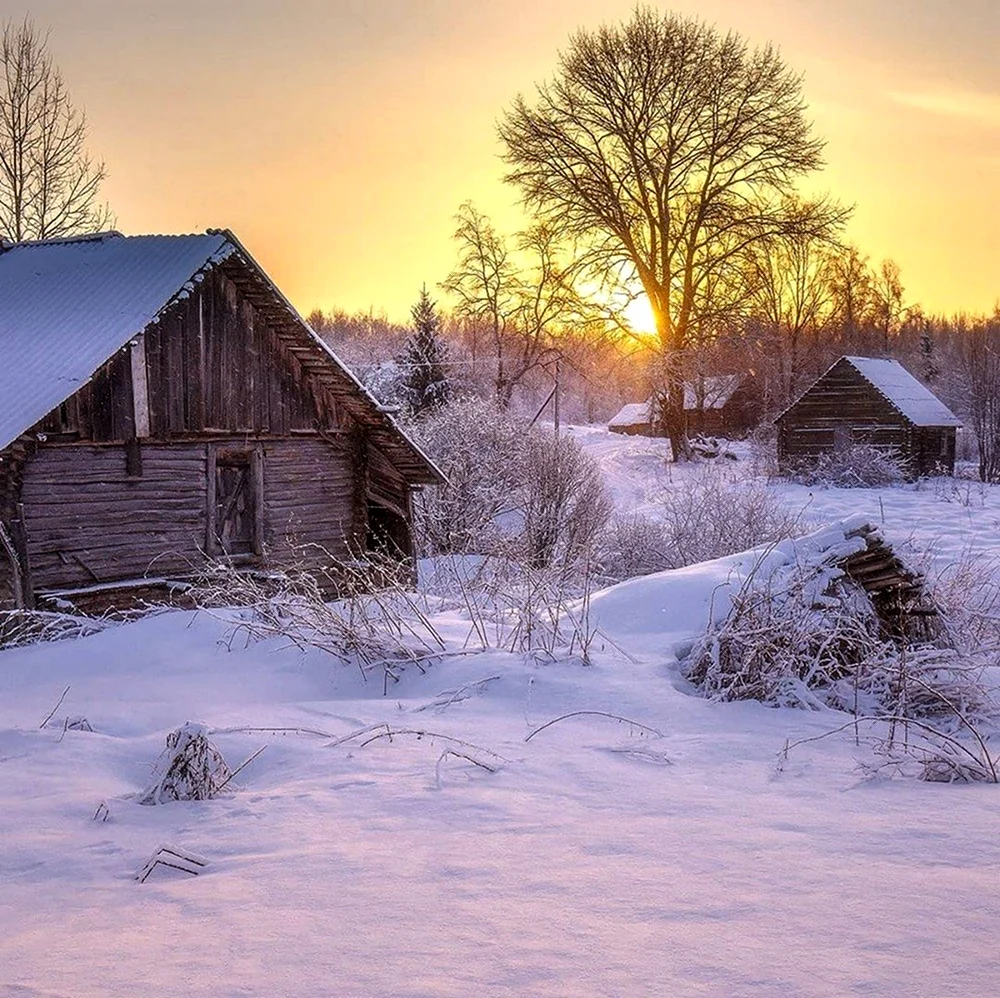 Зимний сельский русская деревня. Красивая картинка