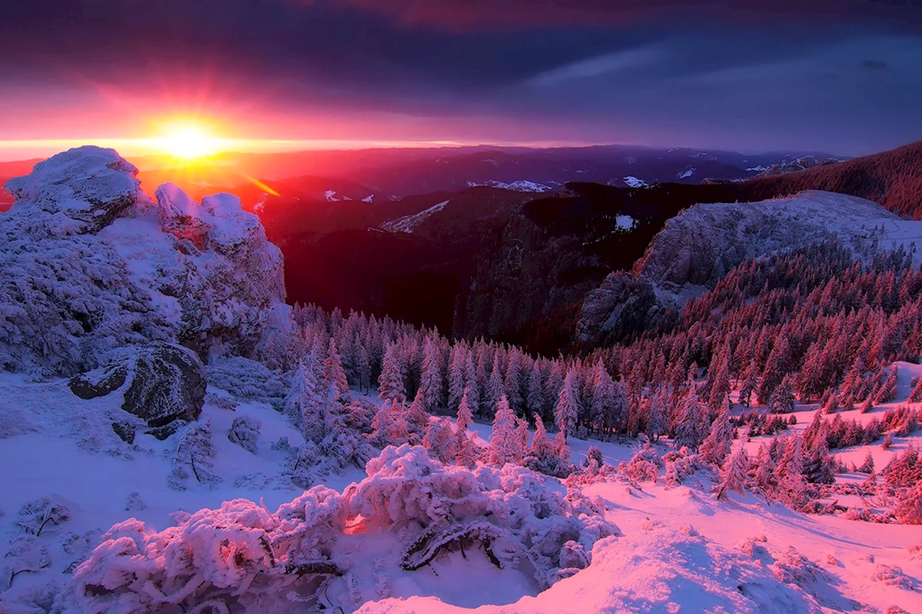 Зимний закат. Красивая картинка
