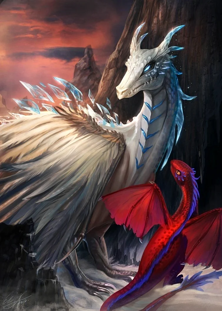Зирнитра дракон. Красивые картинки животных