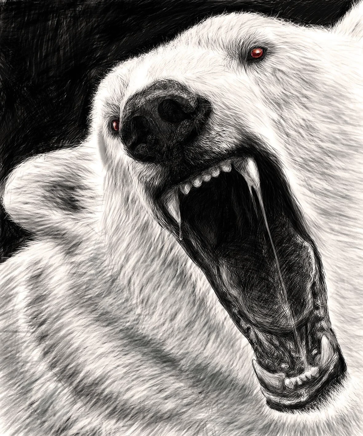 Злой белый медведь. Красивое животное