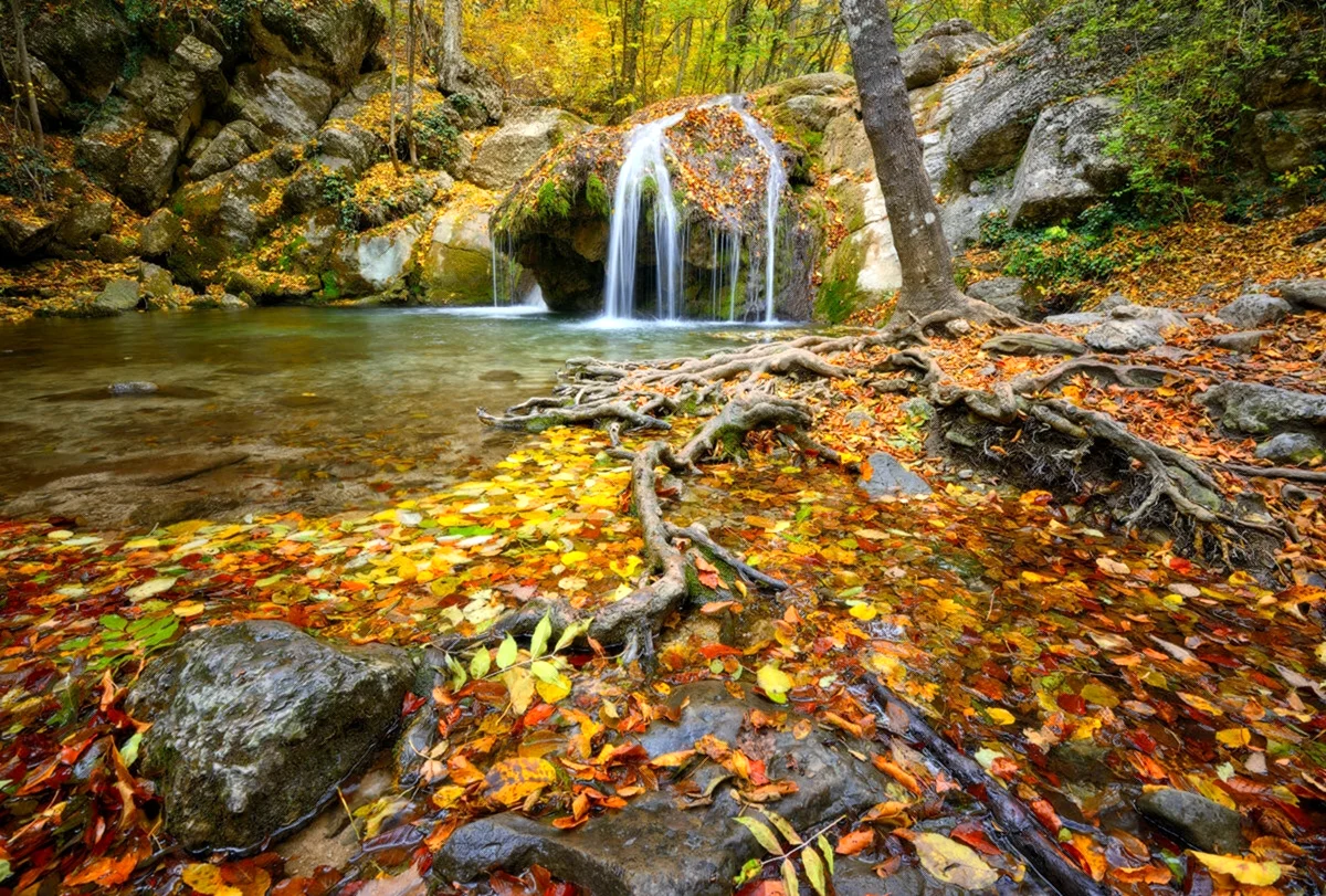 Золотая осень в Крыму. Картинка