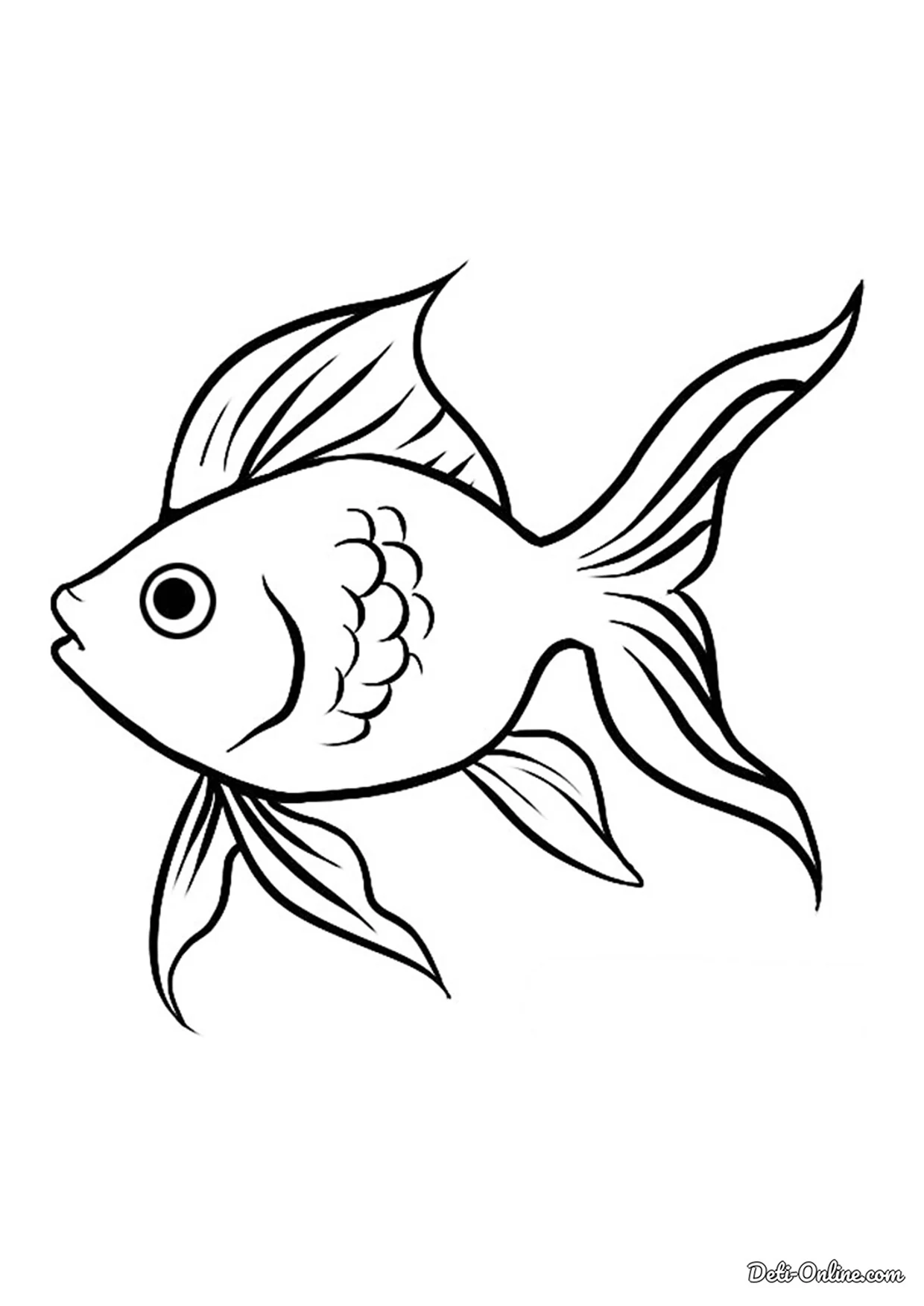 Золотая рыбка раскраска. Для срисовки